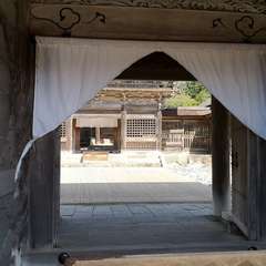 投稿日:2020年3月20日 写真