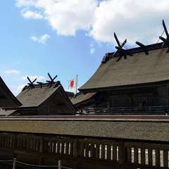 投稿日:2020年3月20日 写真