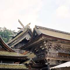 投稿日:2025年8月16日 写真