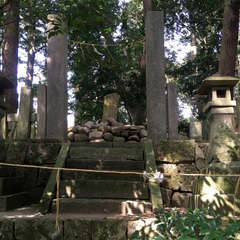 投稿日:2018年4月1日 写真