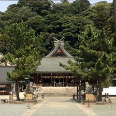 投稿日:2018年4月1日 写真