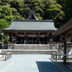 投稿日:2021年4月25日 写真