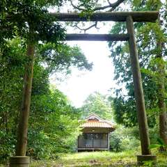 写真