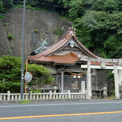 写真