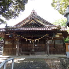 写真