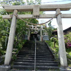 写真