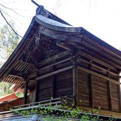 八幡宮(投稿日:2024年4月18日) 写真