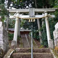 羽鳥神社(投稿日:2024年11月12日) 写真