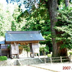 由來八幡宮(投稿日:2025年10月25日) 写真