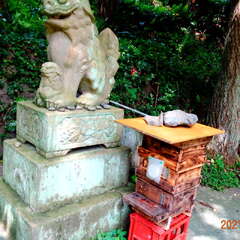 比奈麻治比賣命神社(投稿日:2025年10月25日) 写真