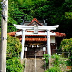 東山神社(投稿日:2025年10月25日) 写真