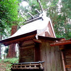 平神社(投稿日:2025年10月25日) 写真