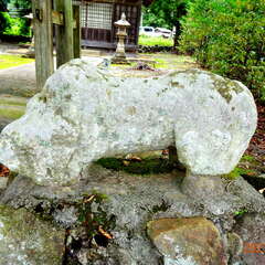 八幡神社(投稿日:2025年10月25日) 写真