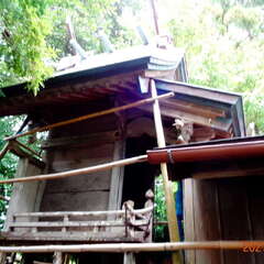 写真