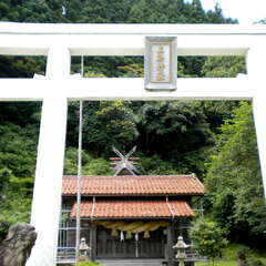 写真