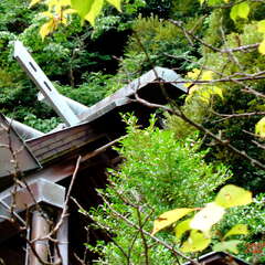 水祖神社(投稿日:2025年10月25日) 写真