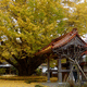 西谷山 浄善寺