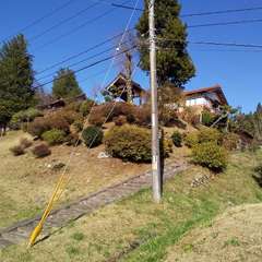 西雲寺**(投稿日:2020年11月21日) 写真
