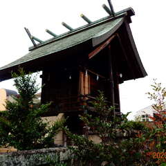 伊勢神社(投稿日:2025年8月27日) 写真