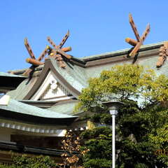 投稿日:2025年7月15日 写真