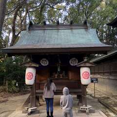 写真