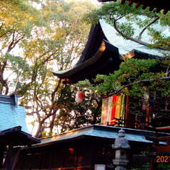 大元宗忠神社(投稿日:2025年8月28日) 写真