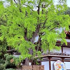 投稿日:2025年10月22日 写真