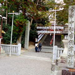 投稿日:2025年8月27日 写真