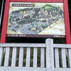 投稿日:2025年8月18日 写真