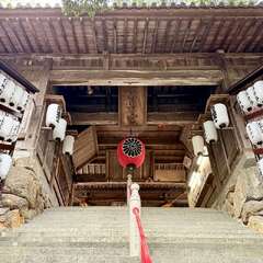 投稿日:2025年10月22日 写真