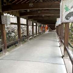 投稿日:2025年8月18日 写真