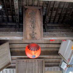 投稿日:2025年7月15日 写真