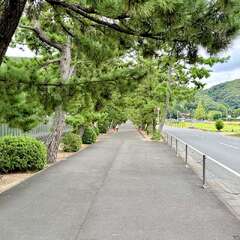 投稿日:2025年10月22日 写真