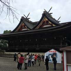 投稿日:2017年1月12日 写真