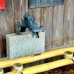 投稿日:2025年10月22日 写真