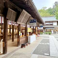 投稿日:2025年10月22日 写真