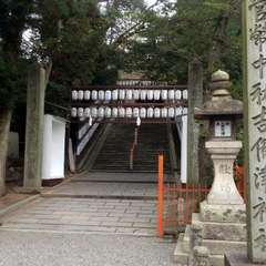 投稿日:2017年9月27日 写真