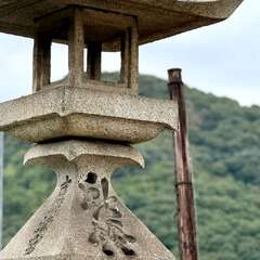 投稿日:2025年10月22日 写真