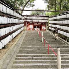 投稿日:2025年10月22日 写真