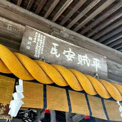 投稿日:2025年8月18日 写真