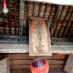 投稿日:2025年8月27日 写真