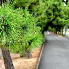 投稿日:2025年10月22日 写真