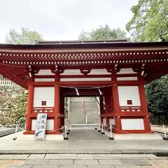 投稿日:2025年10月22日 写真