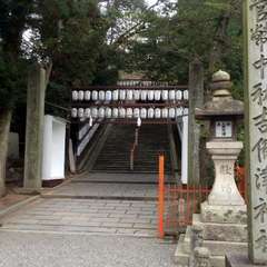 投稿日:2018年3月7日 写真