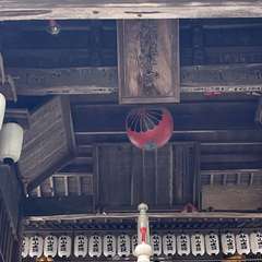 投稿日:2024年4月20日 写真