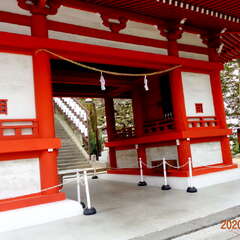 投稿日:2025年8月27日 写真