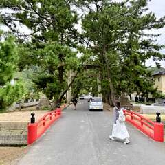 投稿日:2025年10月22日 写真