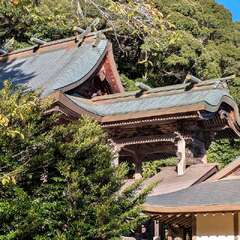 志呂神社(投稿日:2025年10月10日) 写真