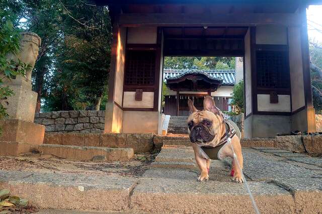 写真