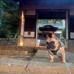 写真